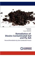 Remediation of Dioxins Contaminated Soil and Fly Ash