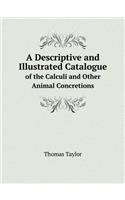 A Descriptive and Illustrated Catalogue of the Calculi and Other Animal Concretions: (English)