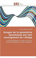 Usages de la Géométrie Dynamique Par Des Enseignants de Collège