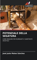 Potenziale Della Segatura