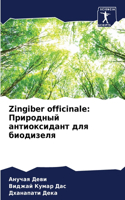 Zingiber officinale