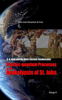 C. G. Jung and the Bose-Einstein Condensates