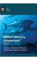 Global Mercury Assessment 2013: Sources, Emissions, Releases and Environmental Transport