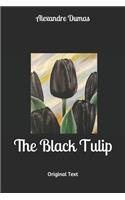The Black Tulip