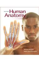 Human Anatomy