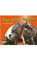 The Little Giraffe