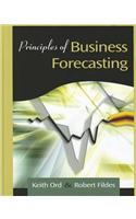 Principles of Business Forcasting