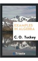 Examples in Algebra