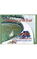 Strawberries Of The Road