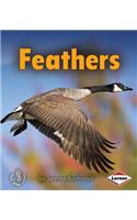 Feathers: (First Step Nonfiction — Body Coverings)