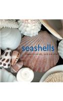 Seashells