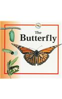 The Butterfly