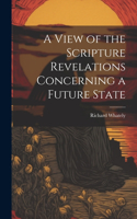 View of the Scripture Revelations Concerning a Future State