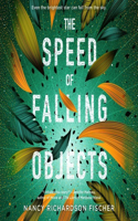 Speed of Falling Objects