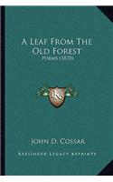 Leaf From The Old Forest