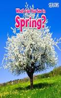 What Can You See In Spring?: (Seasons)