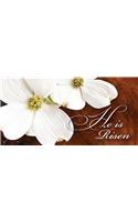 He Is Risen Easter Dogwood Offering Envelopes, Package of 50