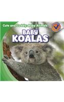Baby Koalas