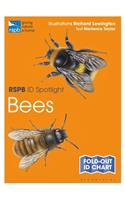 Rspb Id Spotlight - Bees