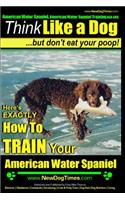 American Water Spaniel, American Water Spaniel Training AAA AKC