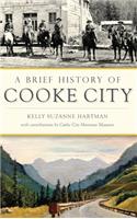 Brief History of Cooke City