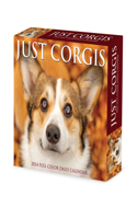 Corgis 2024 6.2 X 5.4 Box Calendar