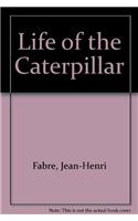 Life of the Caterpillar