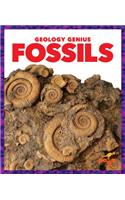 Fossils