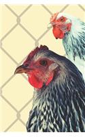 Chicken Notebook Journal