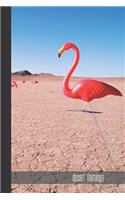 Desert Flamingo
