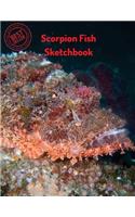 Scorpion Fish Sketchbook