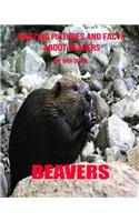 Beavers