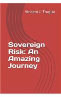 Sovereign Risk: An Amazing Journey