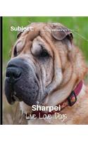 Sharpei - Live Love Dogs!