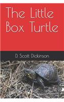 The Little Box Turtle