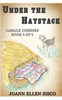Under the Haystack