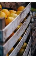 Lemons Notebook