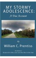 My Stormy Adolescence