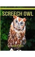 Screech Owl