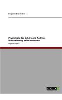Physiologie des Gehörs und Auditive Wahrnehmung beim Menschen