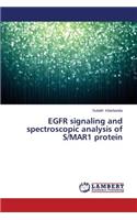 EGFR signaling and spectroscopic analysis of S/MAR1 protein
