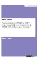 Functional analysis of PA28γ in MCF-7 breast cancer cells by overexpression & CRISPR-Cas9 mediated gene silencing
