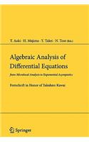 Algebraic Analysis of Differential Equations