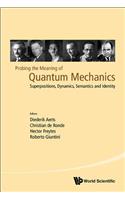 Probing the Meaning of Quantum Mechanics: Superpositions, Dynamics, Semantics and Identity