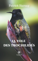 yole des trochilidés