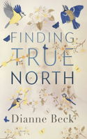 Finding True North