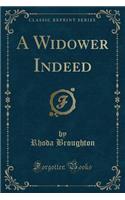 A Widower Indeed (Classic Reprint)