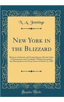 New York in the Blizzard