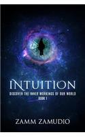 Intuition