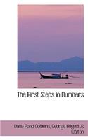 The First Steps in Numbers